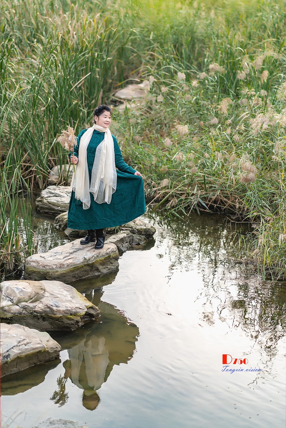 #留住美丽秋天# ——芦花美