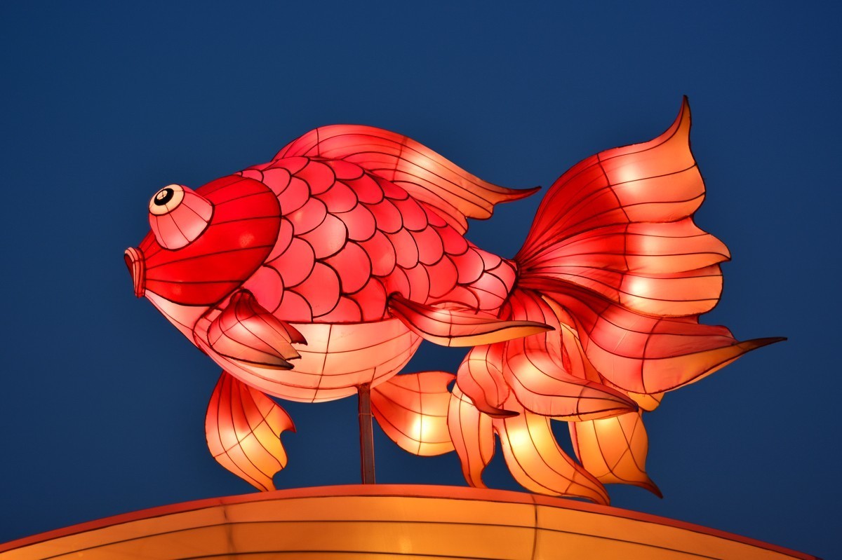 西安城墙灯展局部