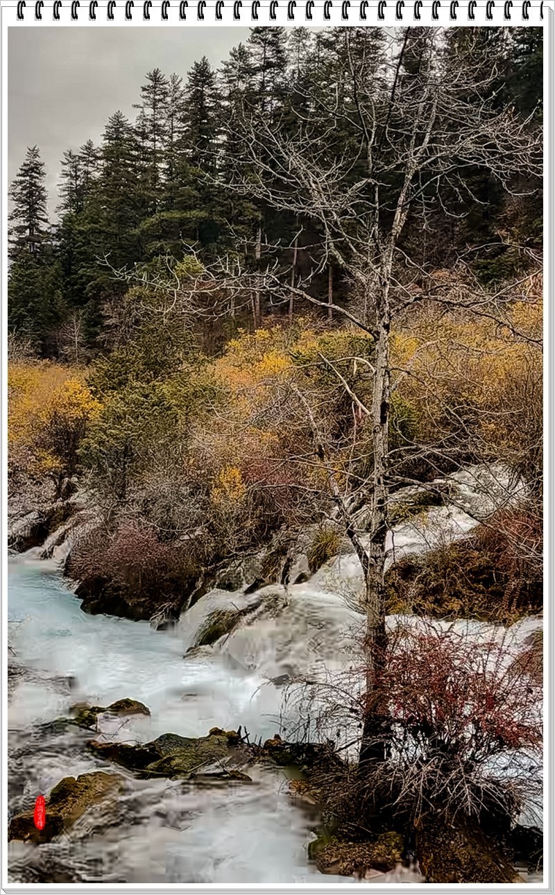 2023年-九寨沟风光抓拍-1015