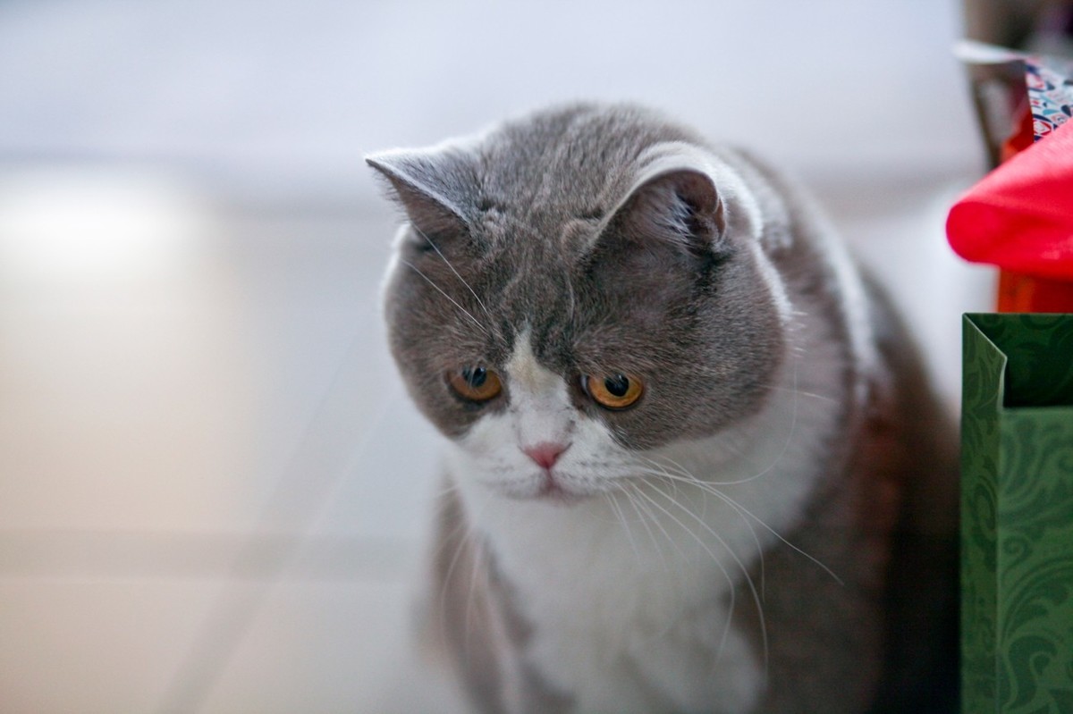 ChMkK2VhM_CIZhK0AAImes1pl6UAAXgagPbQu0AAiaS043.jpg