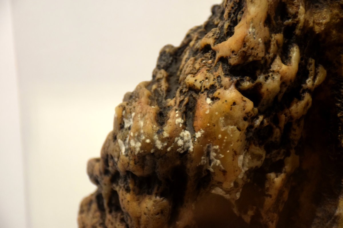 2023秋 广东行（12）积石比书多