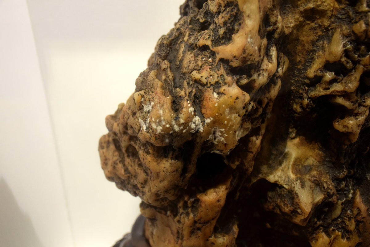 2023秋 广东行（12）积石比书多