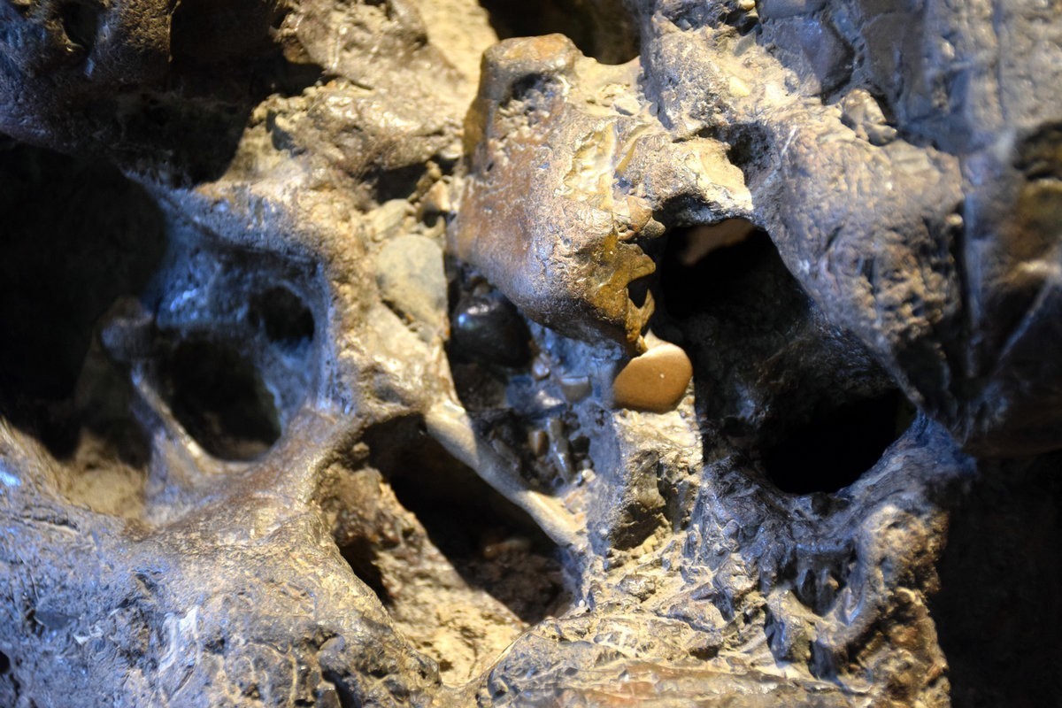 2023秋 广东行（12）积石比书多