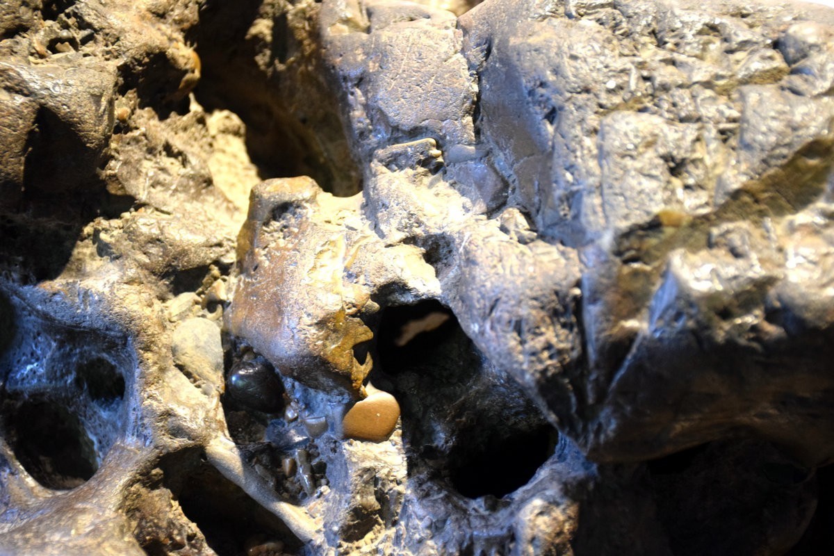 2023秋 广东行（12）积石比书多