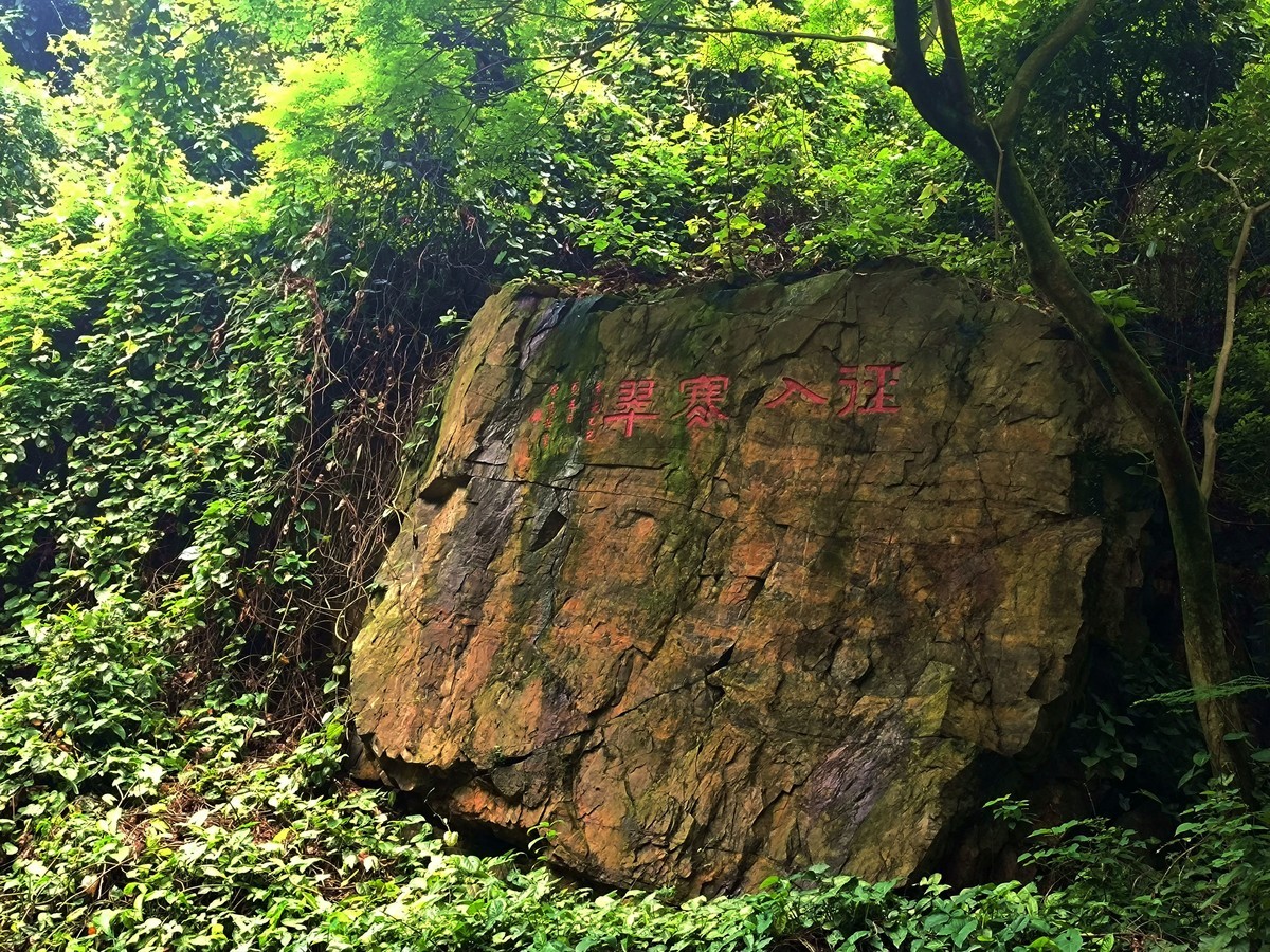 手机随拍鼎湖山（三）