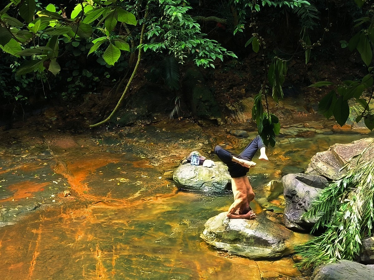 手机随拍鼎湖山（三）