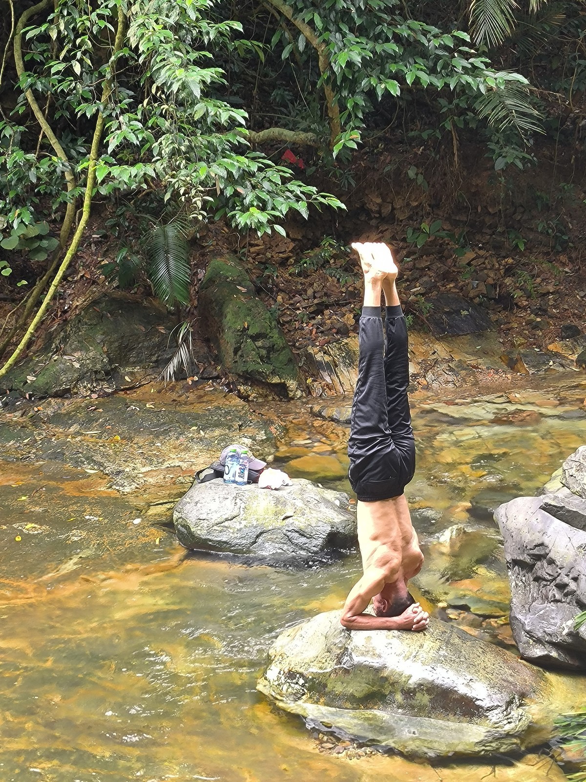 手机随拍鼎湖山（三）