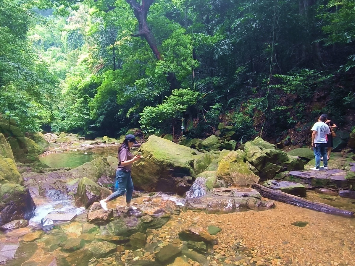 手机随拍鼎湖山（三）