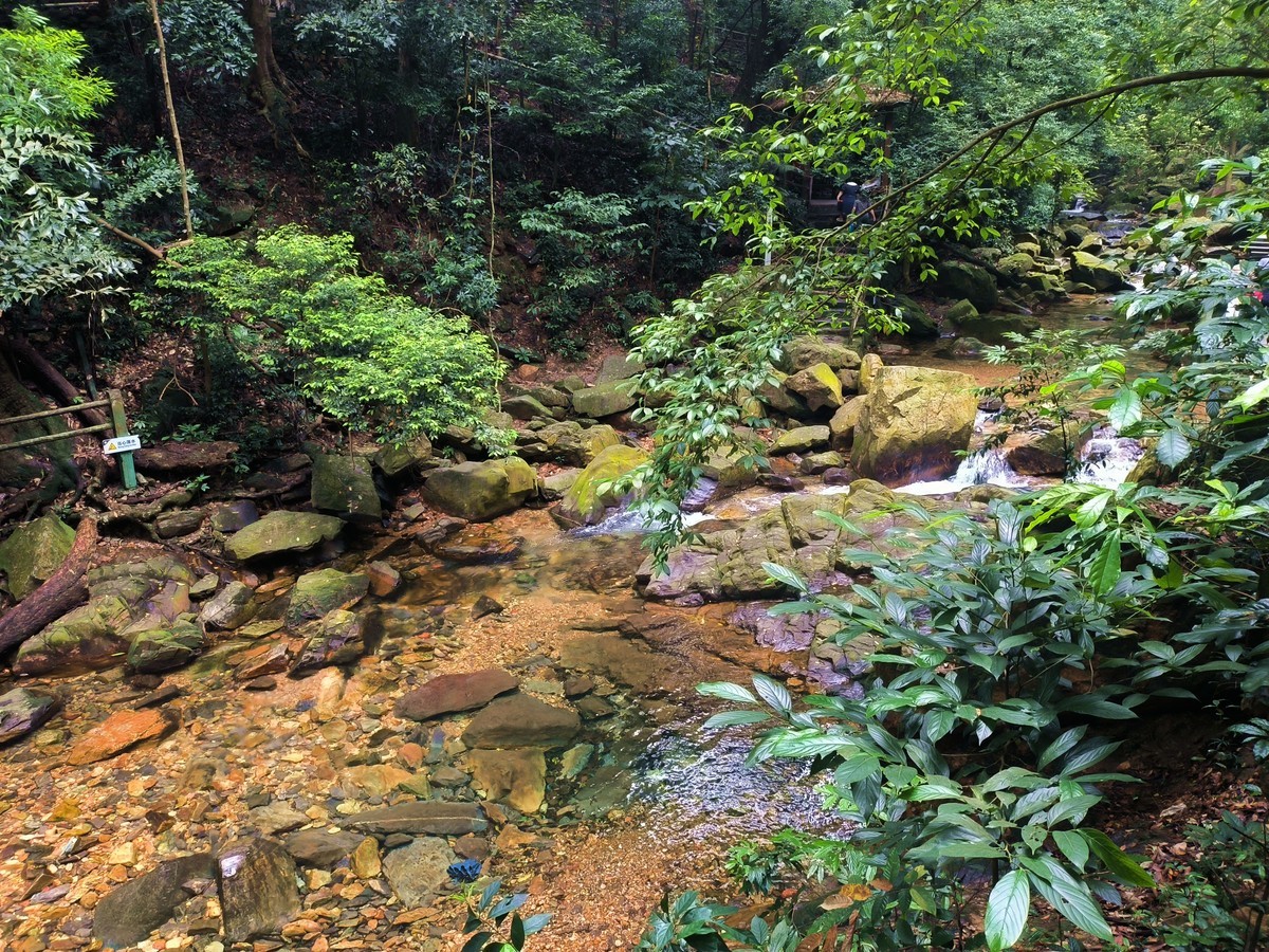 手机随拍鼎湖山（三）