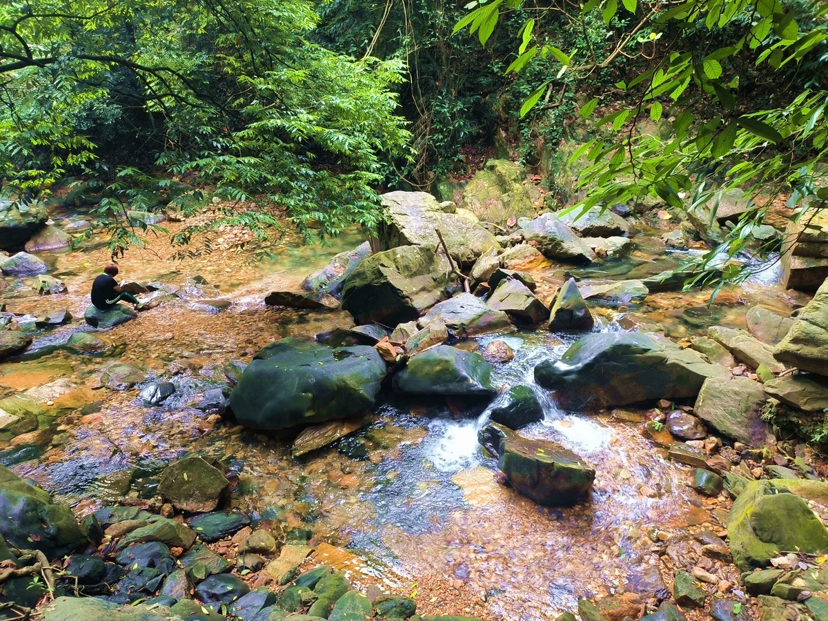 手机随拍鼎湖山（三）