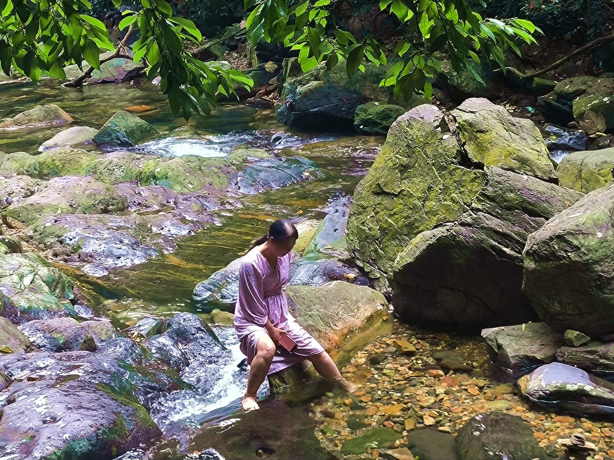 手机随拍鼎湖山（三）