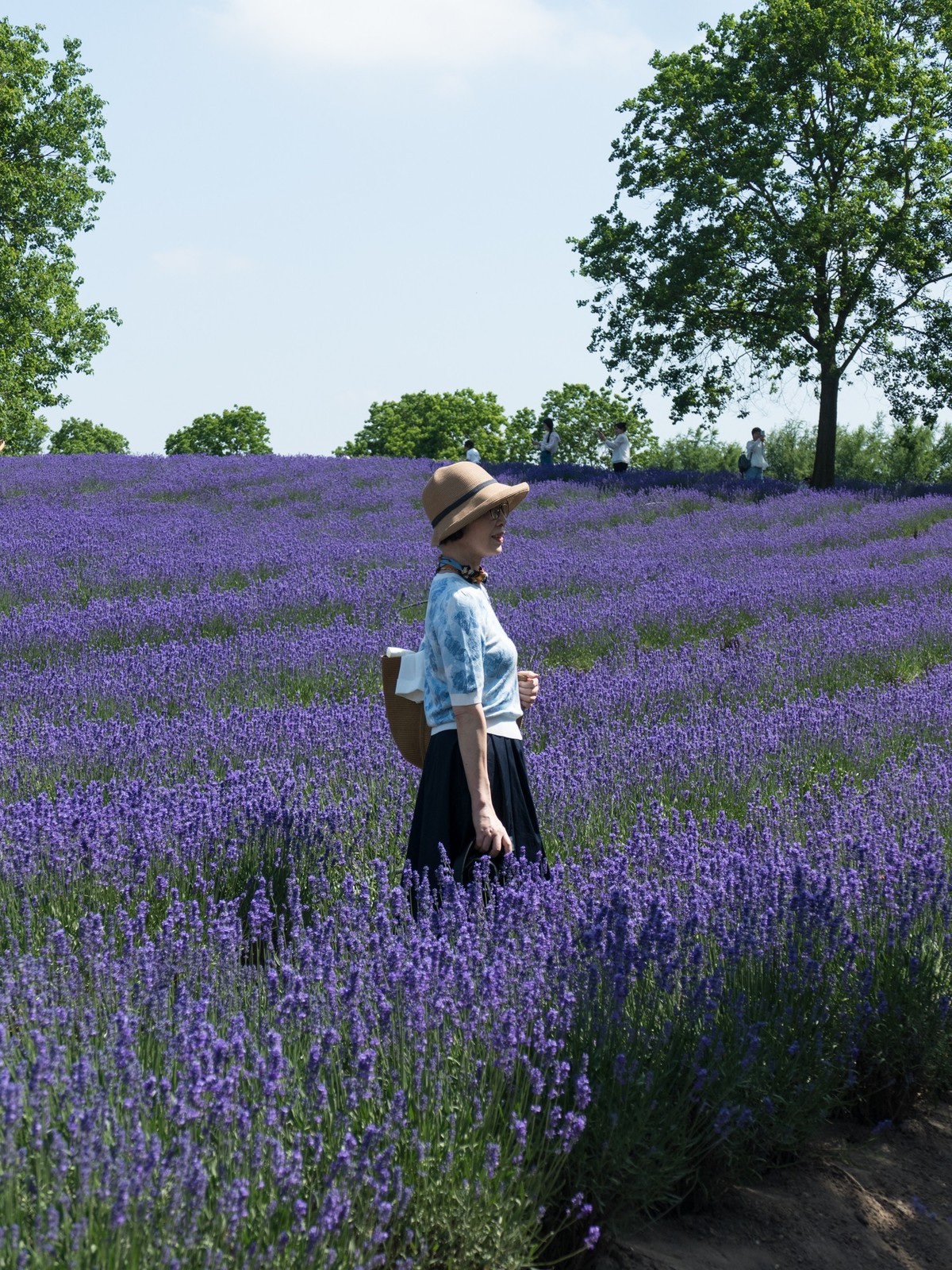 上海薰衣草公园（2）