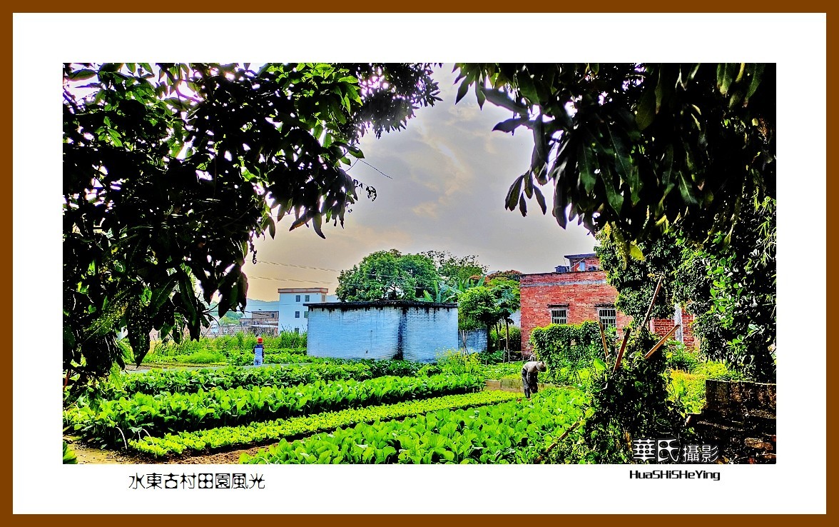 2022南行慢游（广东025）—-水东古村田园风光（云浮市）