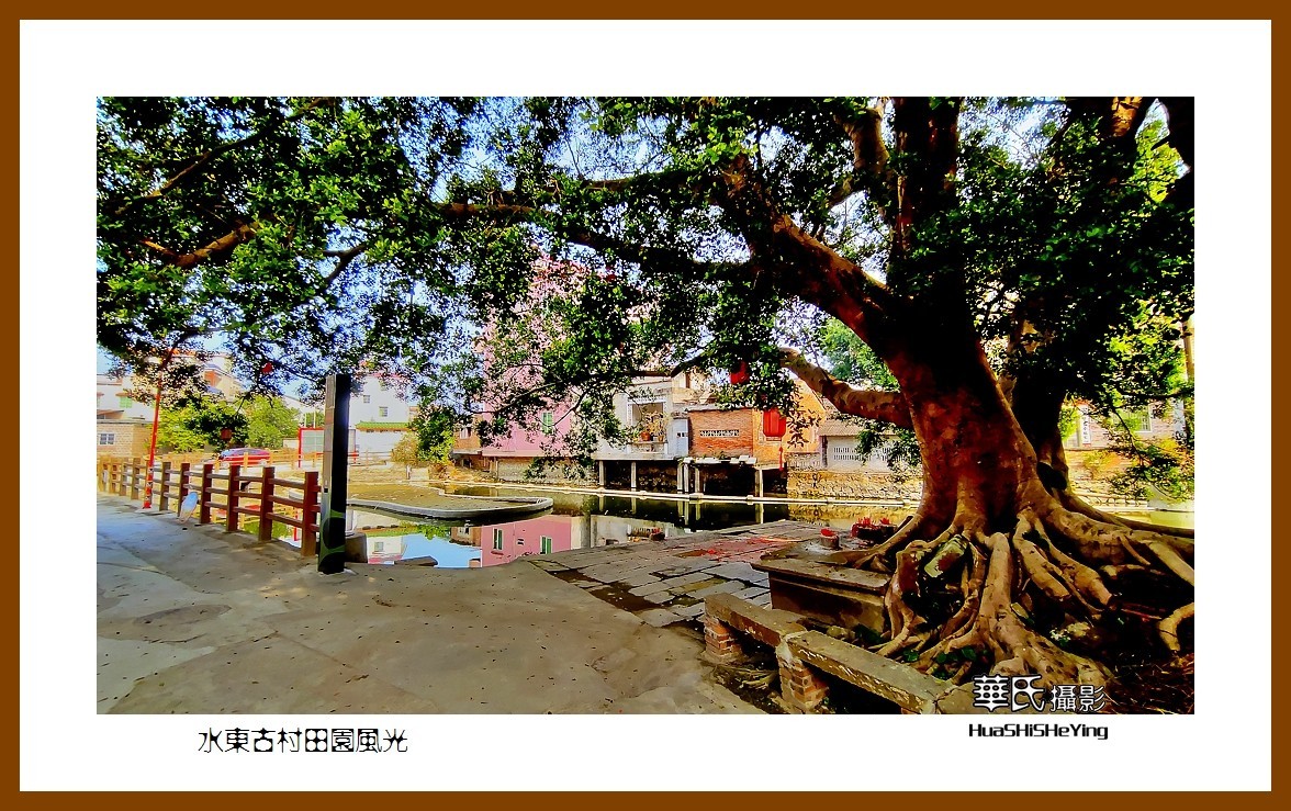 2022南行慢游（广东025）—-水东古村田园风光（云浮市）