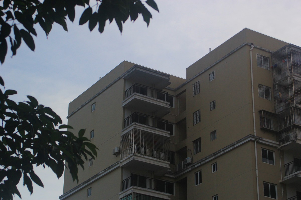 美丽的厦门郊外早晨风光摄影--221