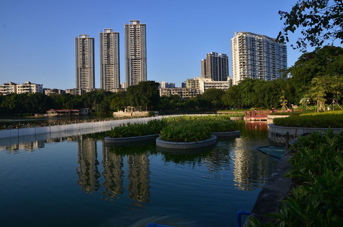 回忆篇——广州流花湖公园（4）