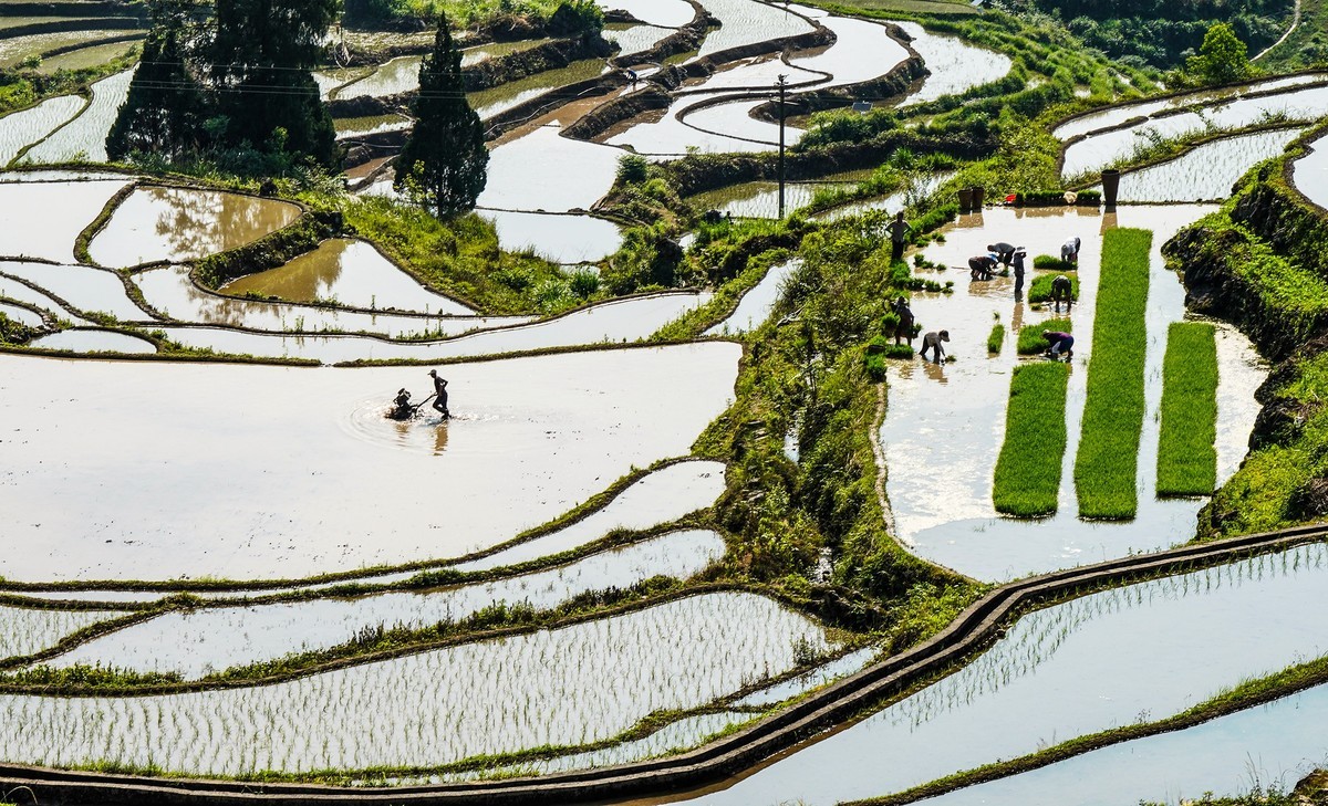 在希望的田野上-3