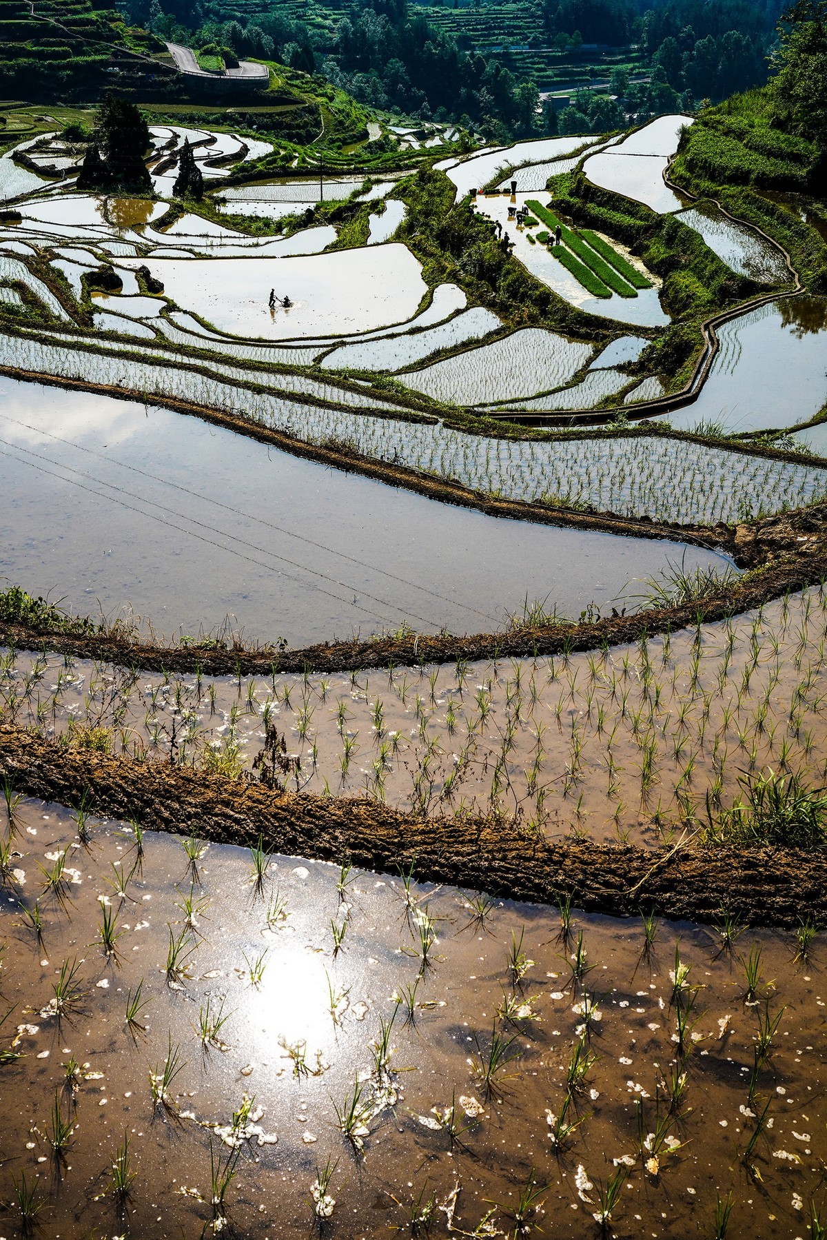 在希望的田野上-3