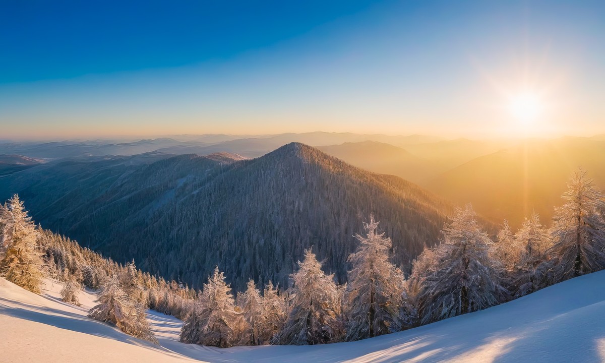 沉浸在宁静与惬意之中