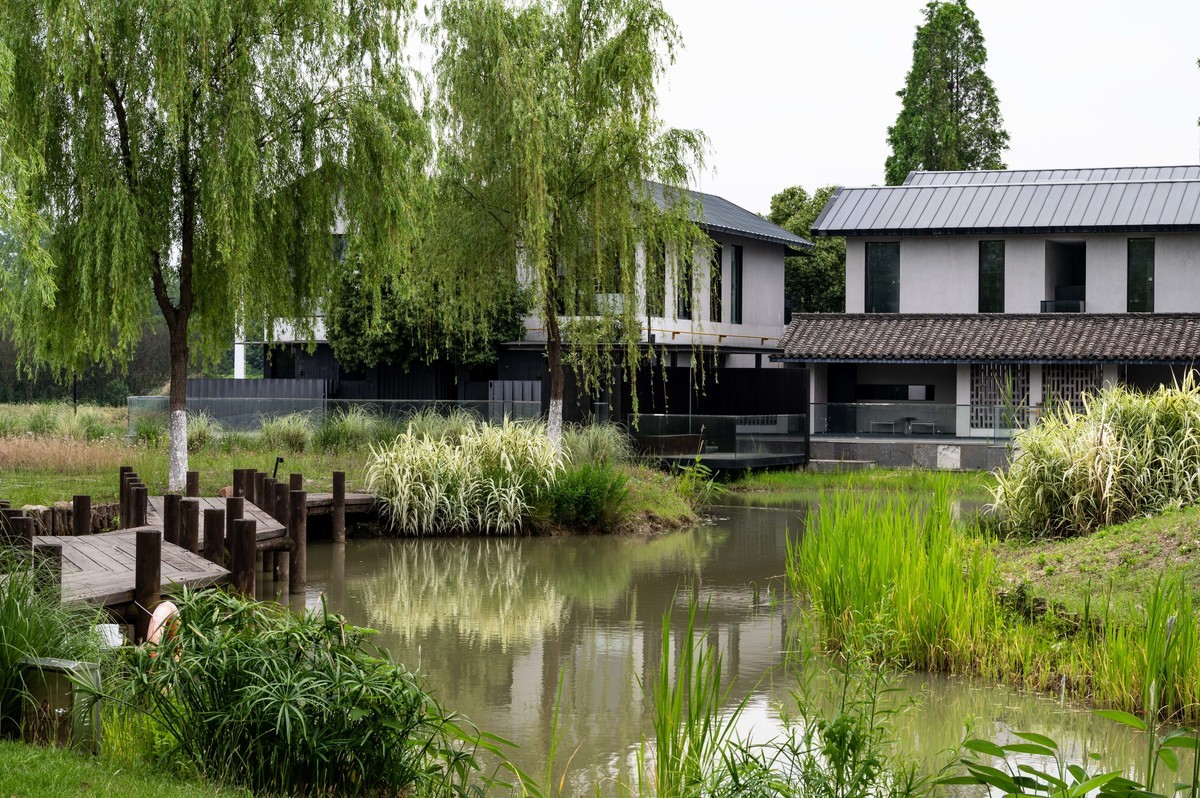 庐州印象——（464）“一次尝遍合肥美食”第三季