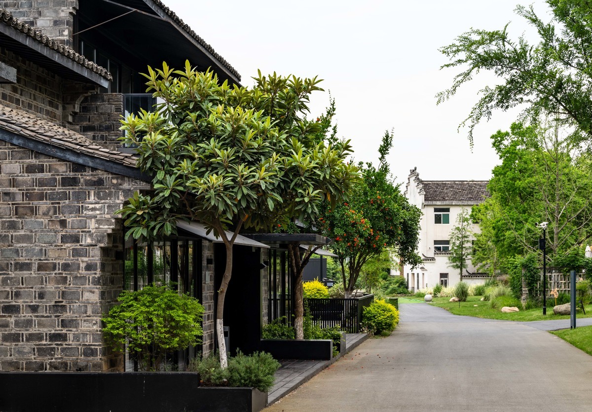 庐州印象——（464）“一次尝遍合肥美食”第三季