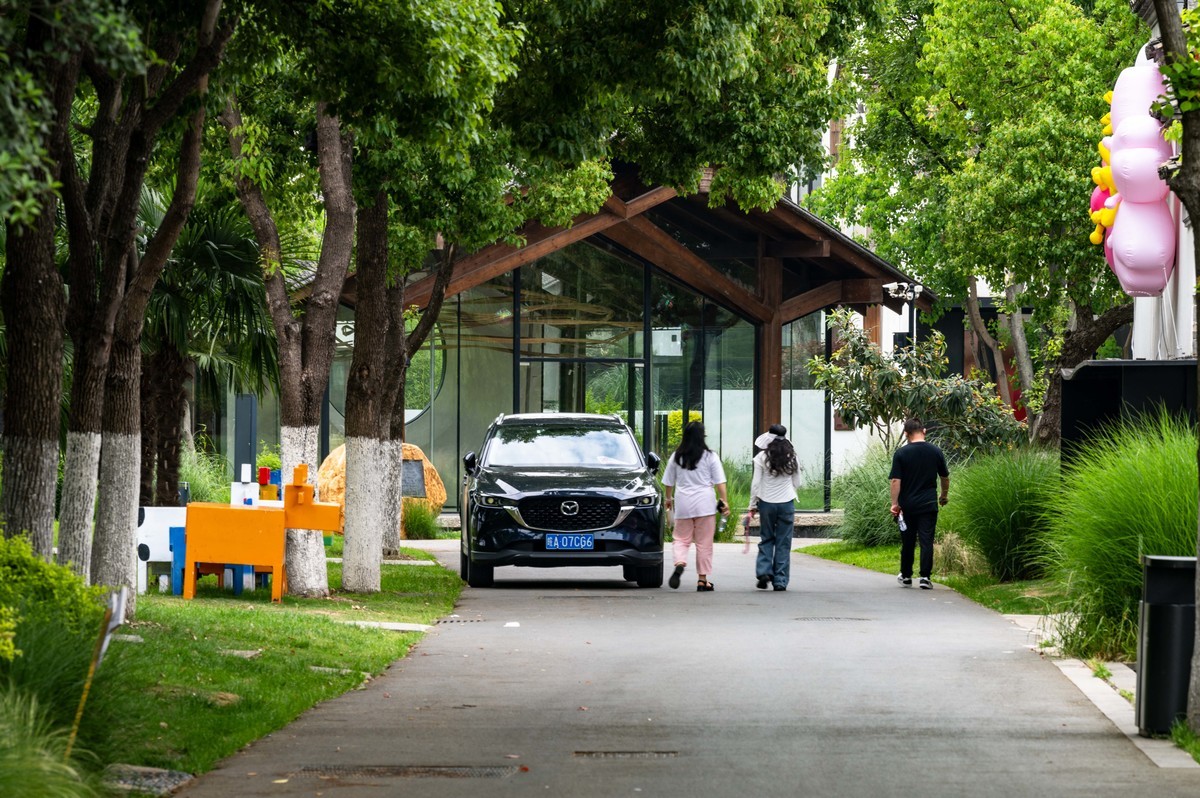 庐州印象——（464）“一次尝遍合肥美食”第三季