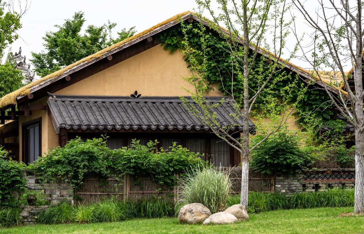 庐州印象——（464）“一次尝遍合肥美食”第三季