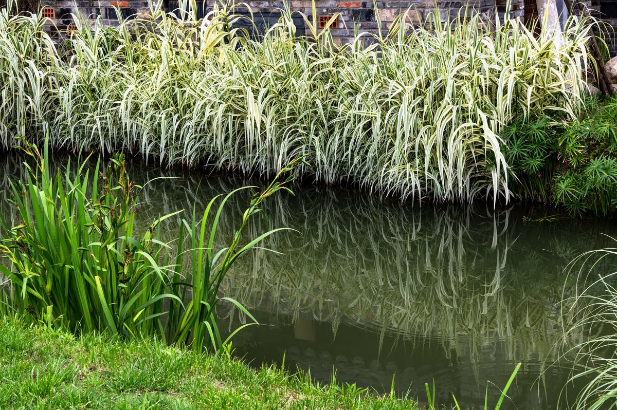 庐州印象——（464）“一次尝遍合肥美食”第三季