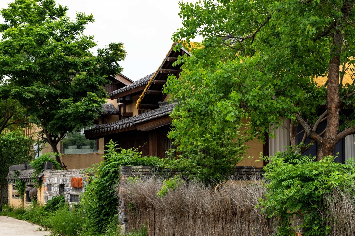 庐州印象——（464）“一次尝遍合肥美食”第三季