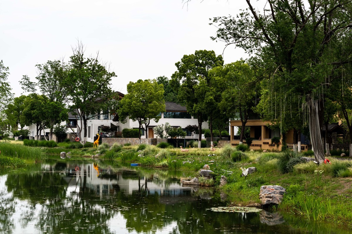 庐州印象——（464）“一次尝遍合肥美食”第三季