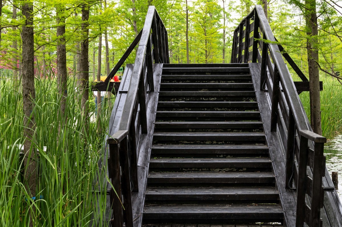 庐州印象——（464）“一次尝遍合肥美食”第三季