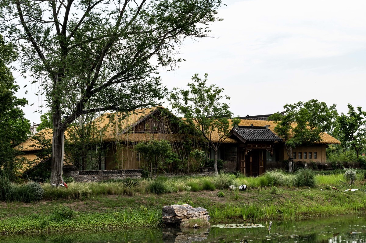 庐州印象——（464）“一次尝遍合肥美食”第三季