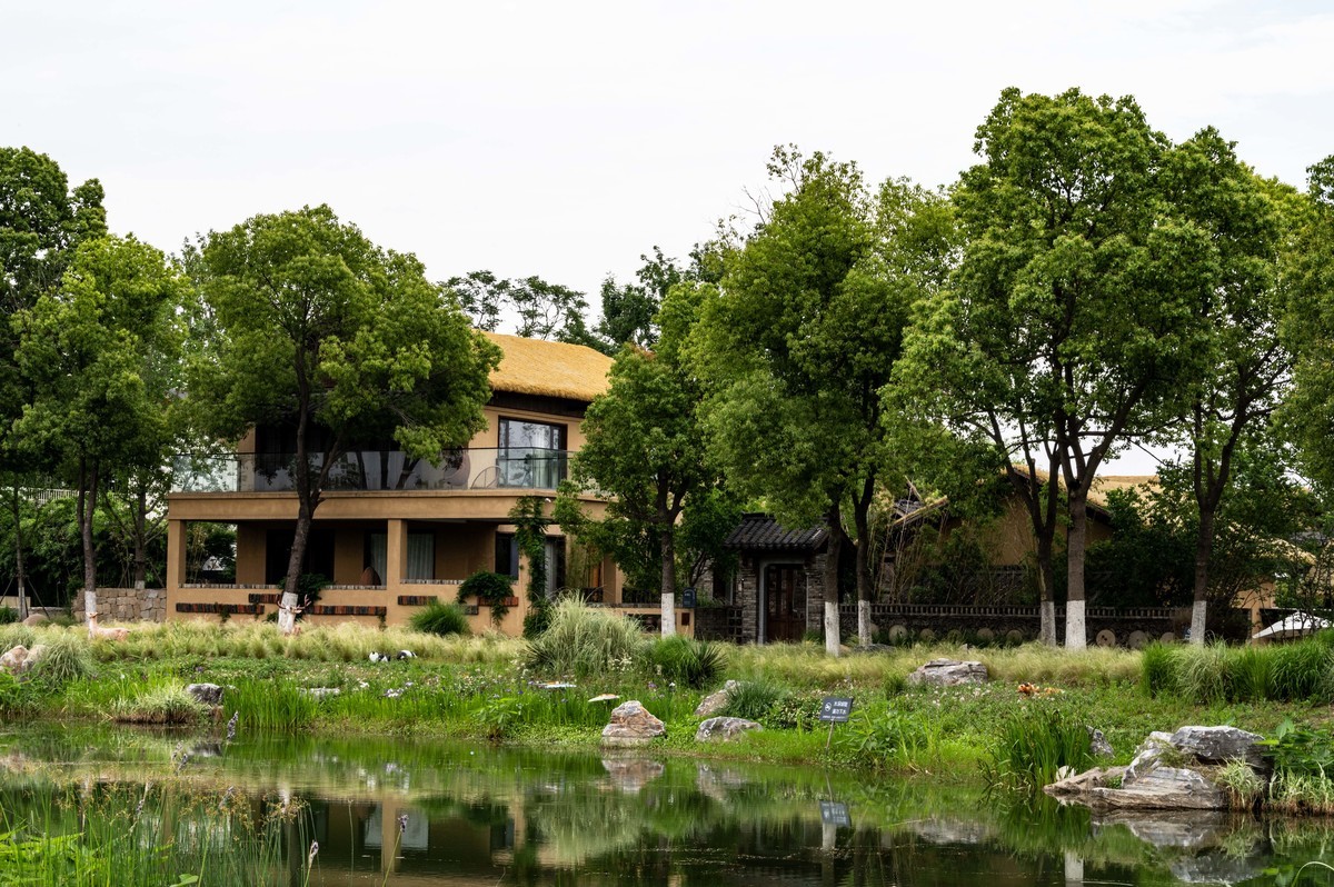 庐州印象——（464）“一次尝遍合肥美食”第三季