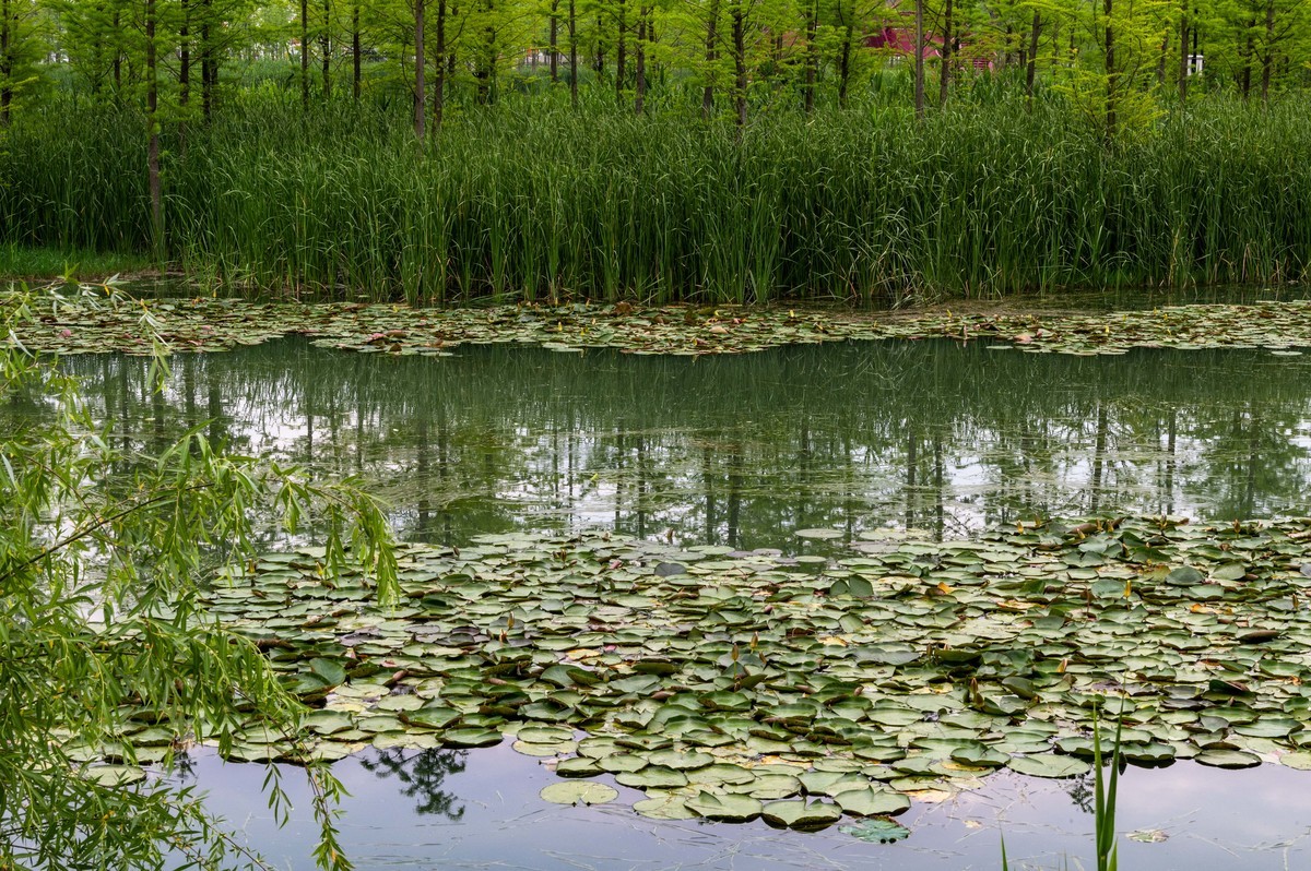 庐州印象——（464）“一次尝遍合肥美食”第三季