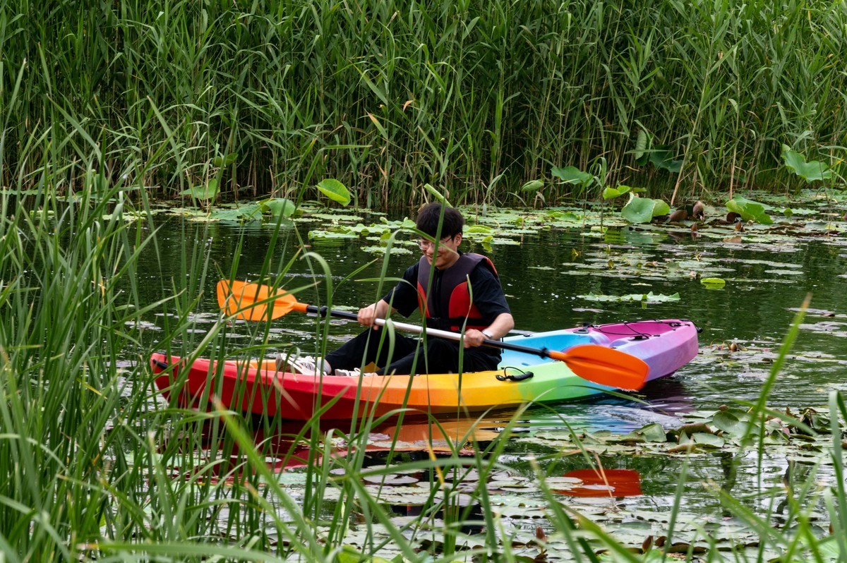 庐州印象——（464）“一次尝遍合肥美食”第三季