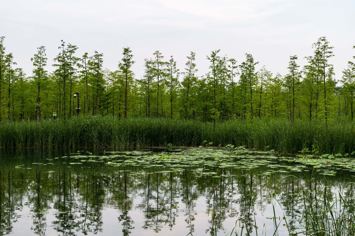 庐州印象——（464）“一次尝遍合肥美食”第三季