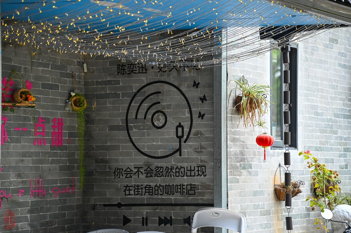 看上Z6III却选择D780拍大岭