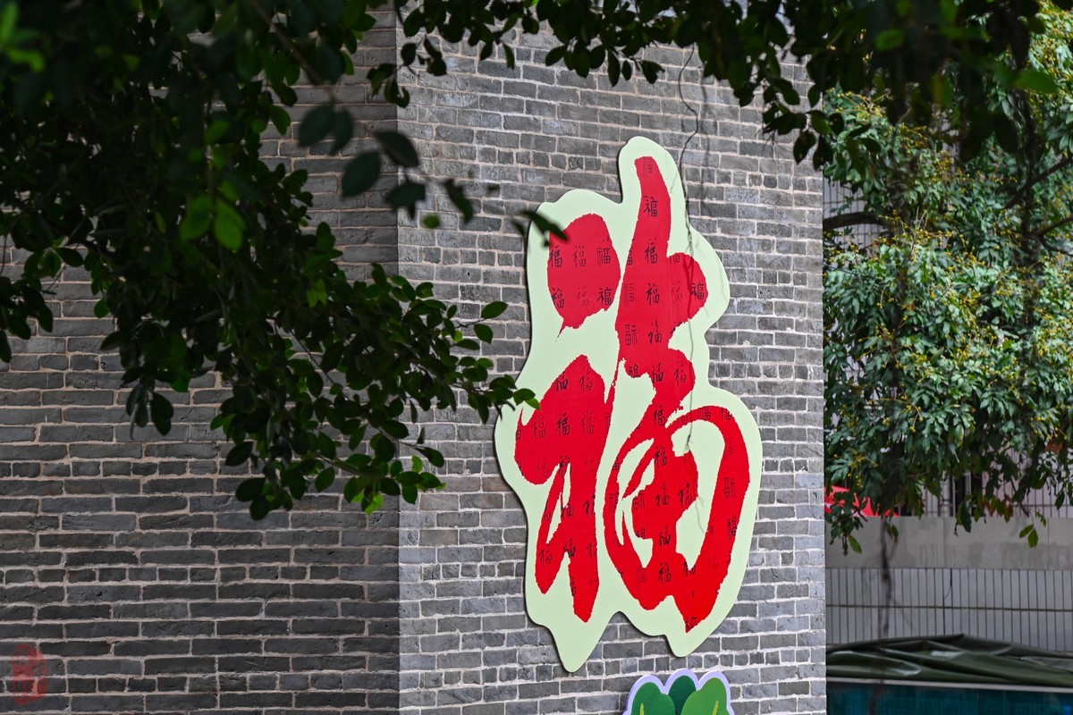 看上Z6III却选择D780拍大岭