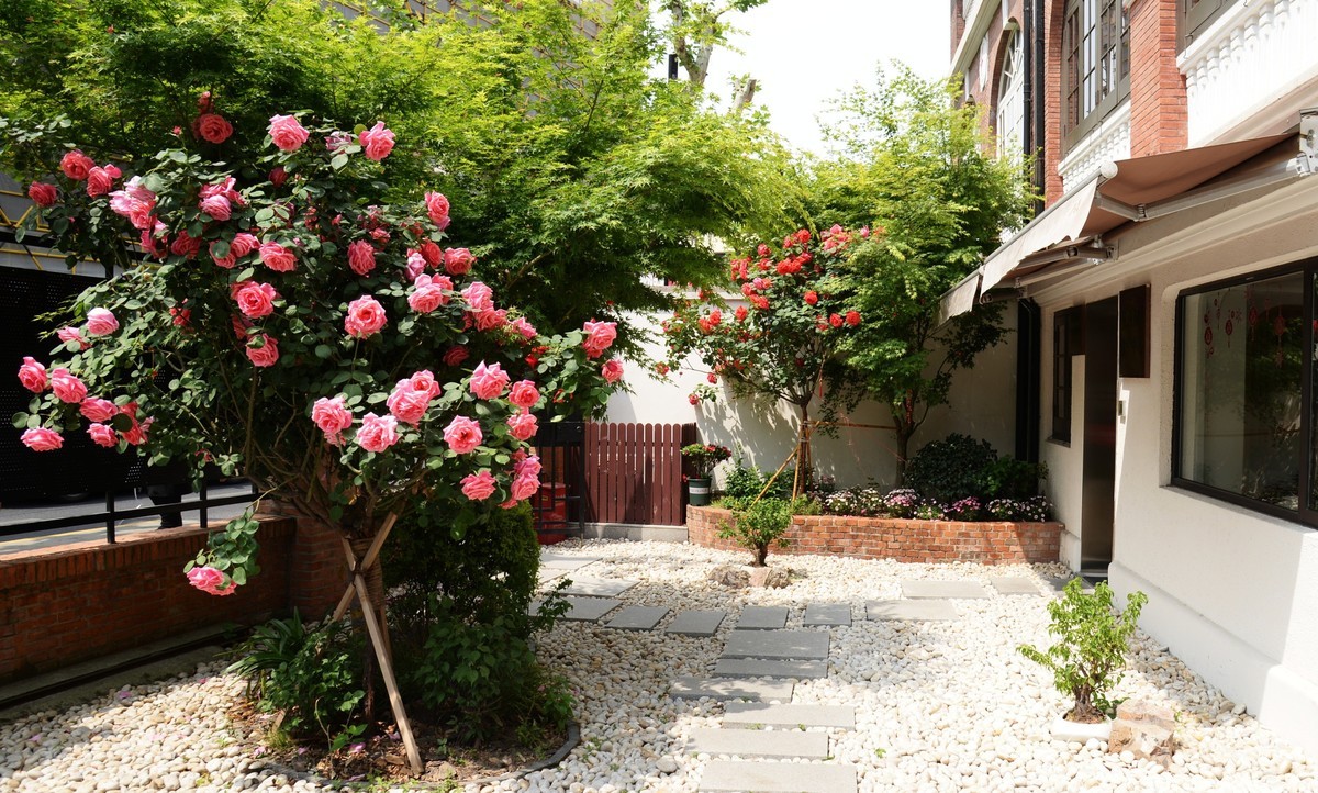 四月花事（一）