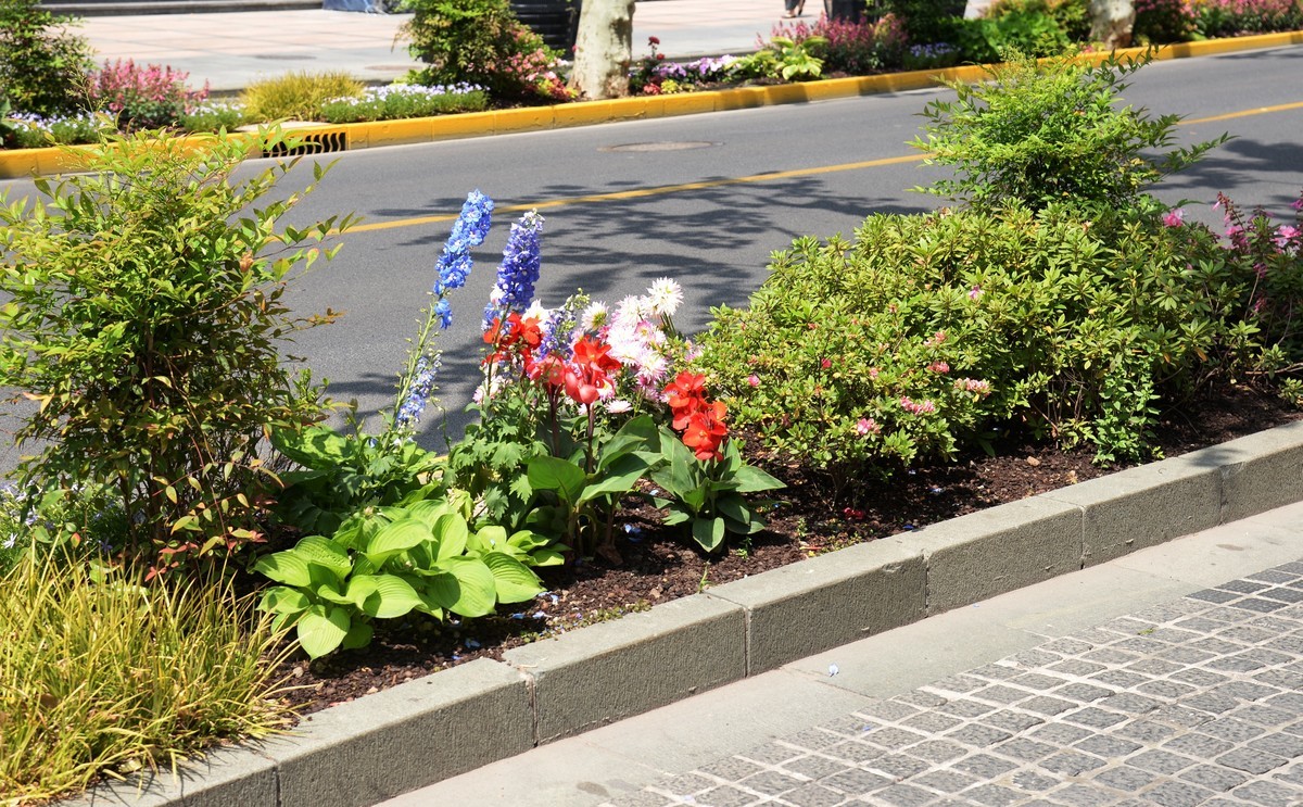 四月花事（一）