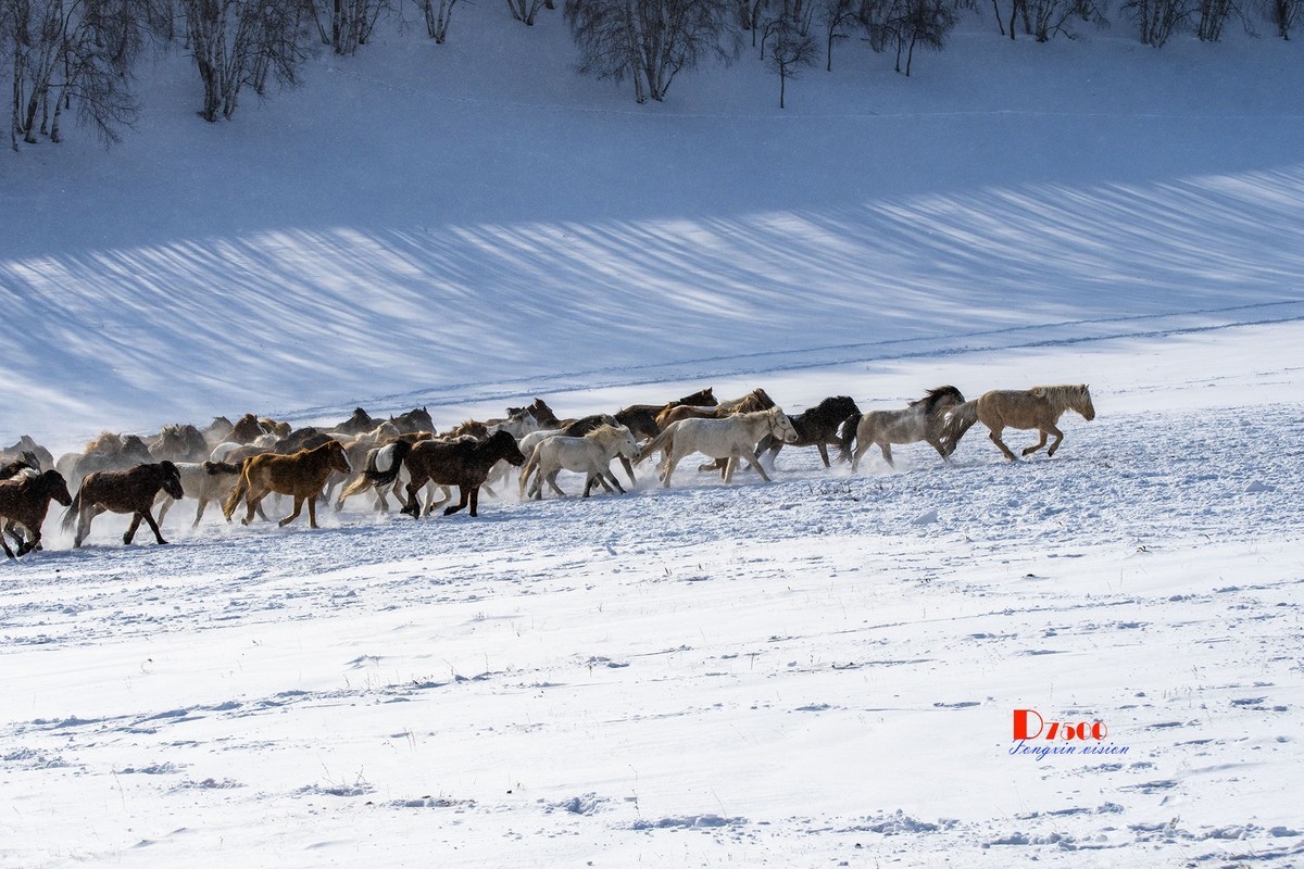 策马奔腾（76）