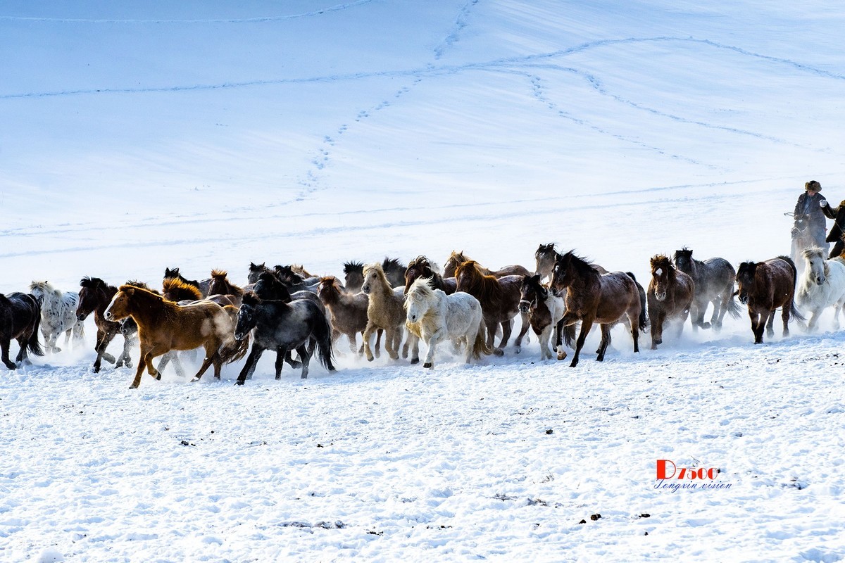 策马奔腾（76）