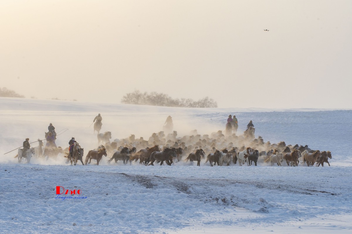 策马奔腾（76）
