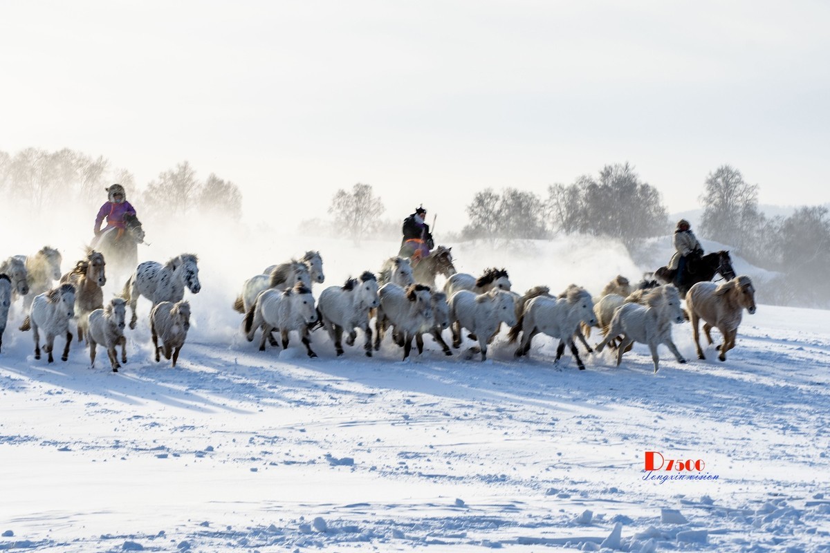 策马奔腾（76）