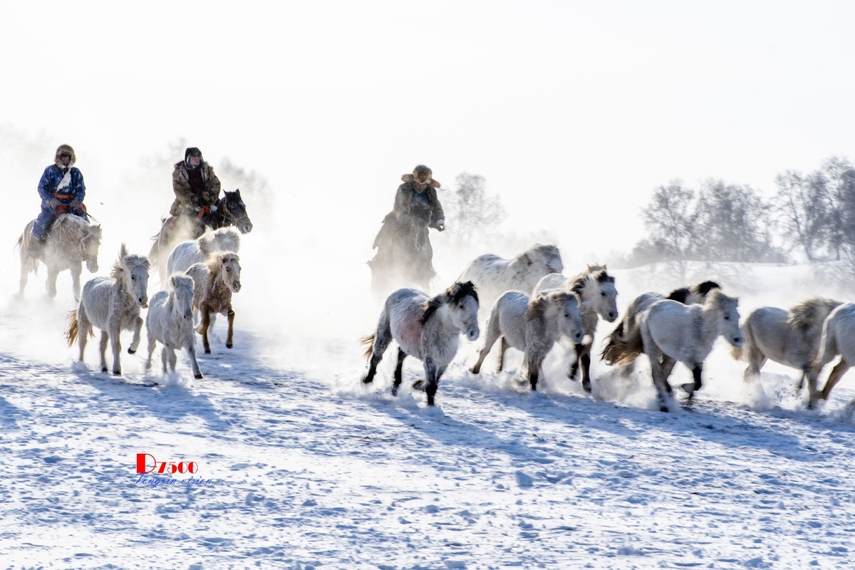策马奔腾（76）