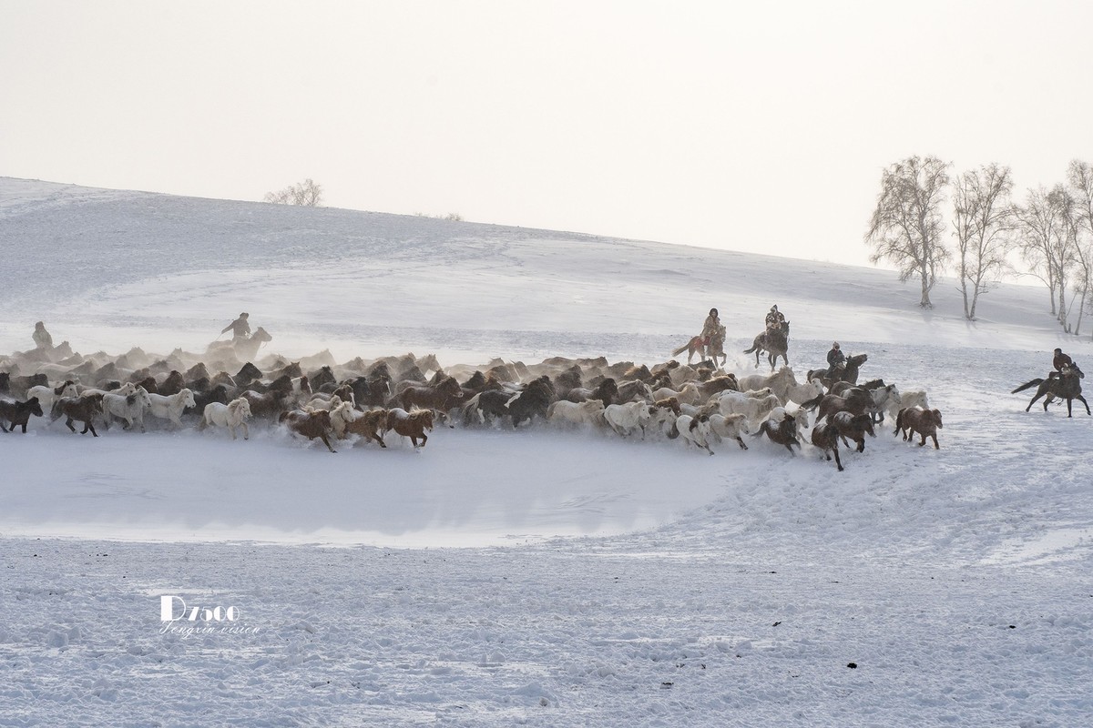 策马奔腾（76）
