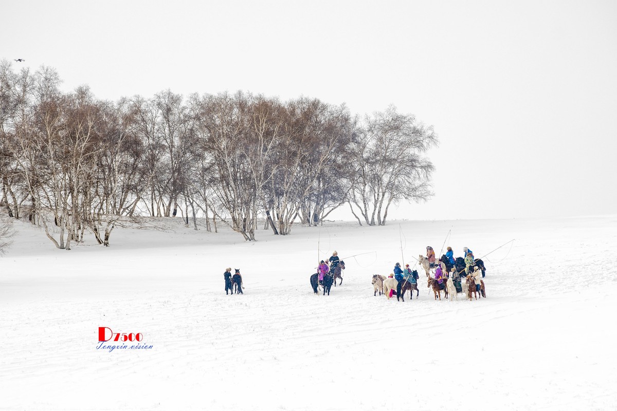 策马奔腾（76）