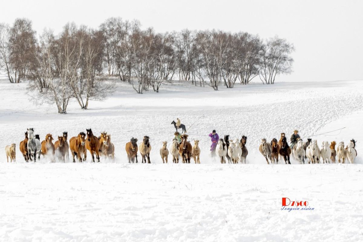 策马奔腾（76）