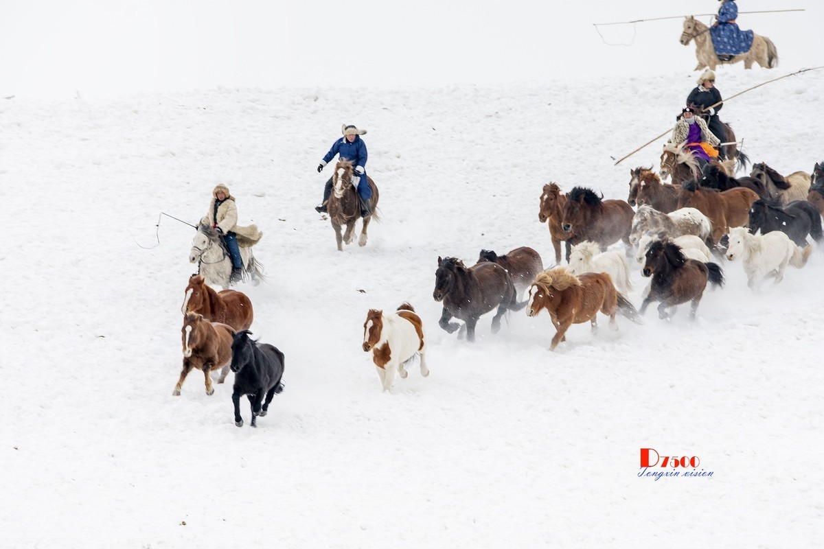 策马奔腾（76）