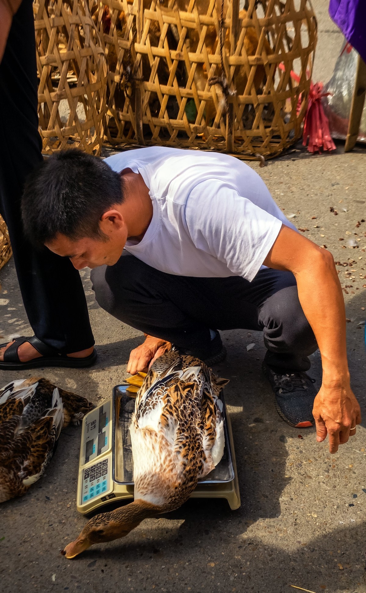 乡村赶集（怀念那段无需口罩的日子）